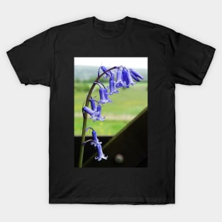 English Bluebells - Hyacinthoides non-scripta T-Shirt